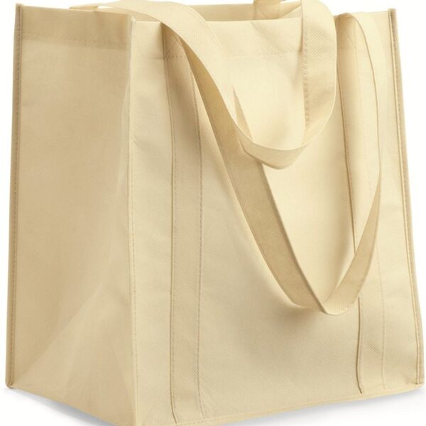 Eco Friendly Reusable Non-Woven Shopping Bag Thumbnail